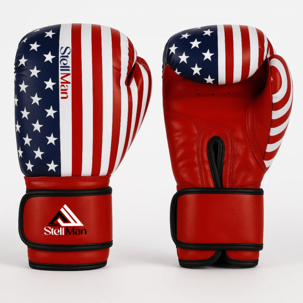 Boxing Gloves US Flag