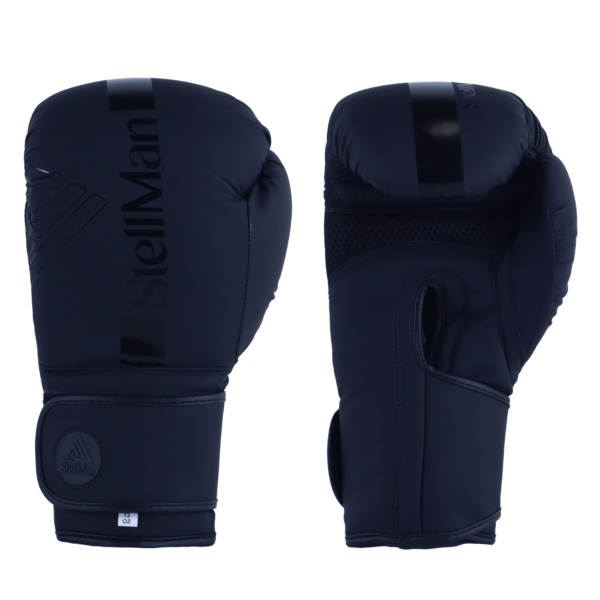 Black Stripe Boxing Gloves