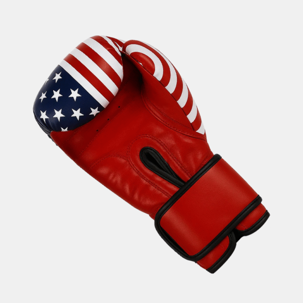 Boxing Gloves US Flag - Image 3