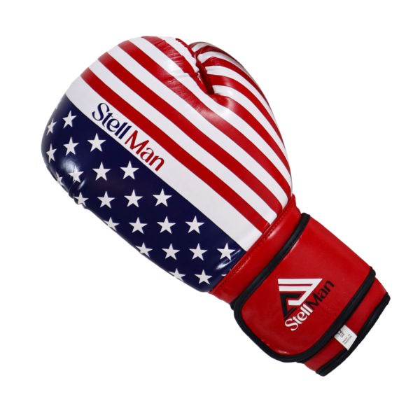Boxing Gloves US Flag - Image 3