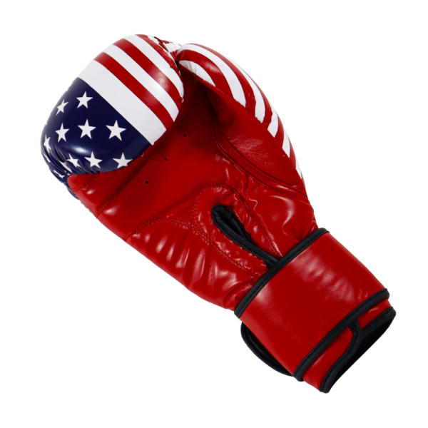 Boxing Gloves US Flag - Image 4