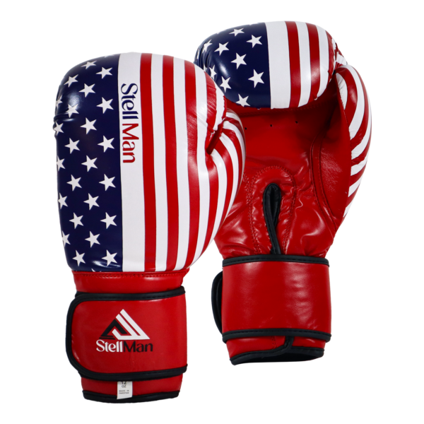 Boxing Gloves US Flag