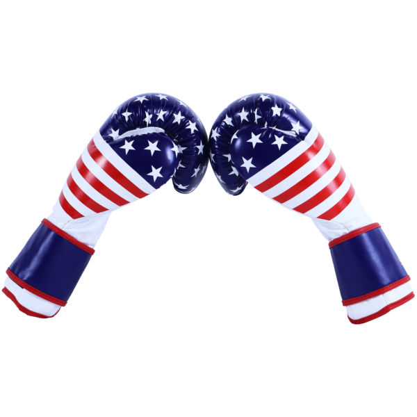 White & U.S. Flag Boxing Gloves - Image 2